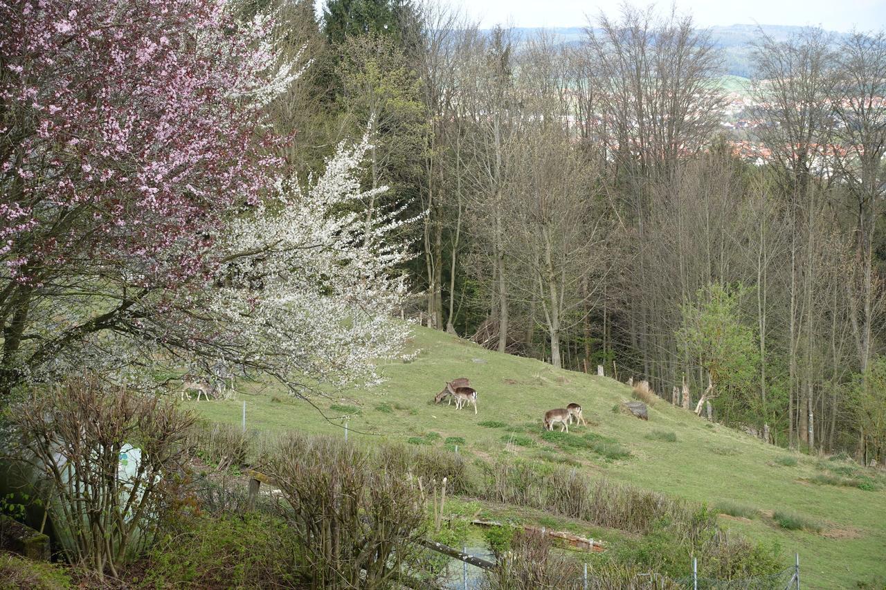 Hotel Gasthof Schoenblick Neumarkt in der Oberpfalz Eksteriør bilde
